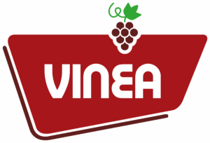 Vinea